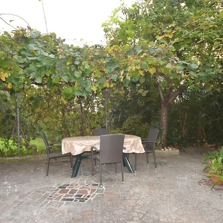 Big Dream 2 * ロヴィニ