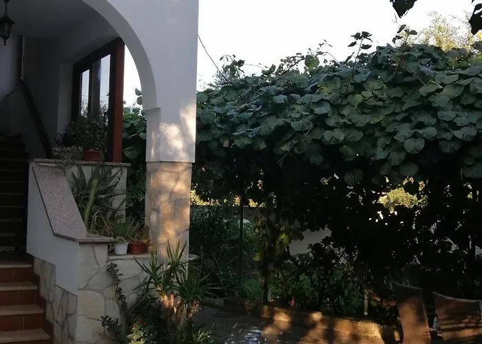 Big Dream 2 * 로비니