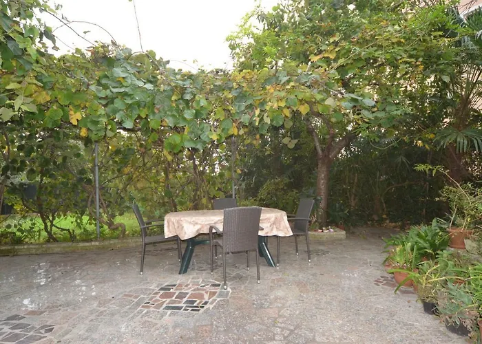 Big Dream 2 * 로비니