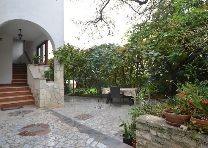 Big Dream 2 로비니